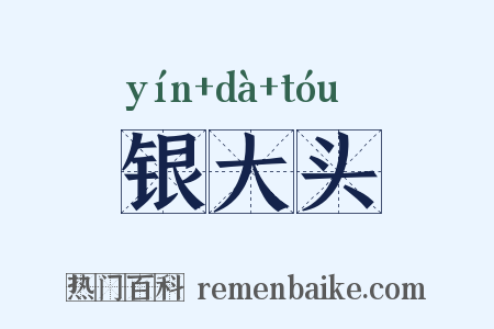 银大头是什么意思的图片